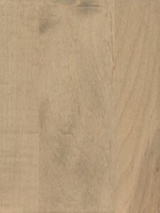 Brown Maple: Seashell